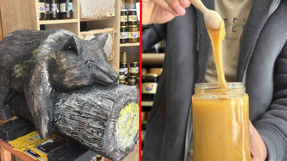 Dükkanın önüne koydu, satışları katladı! “Bayılan ayı” dekoru resmen viral oldu: Siparişlere yetişemiyor