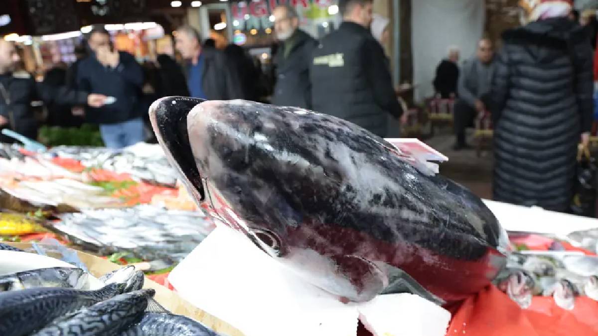 Akdeniz kıyılarında dev av: 1 metre 40 santim boyunda, kilosu 650 TL