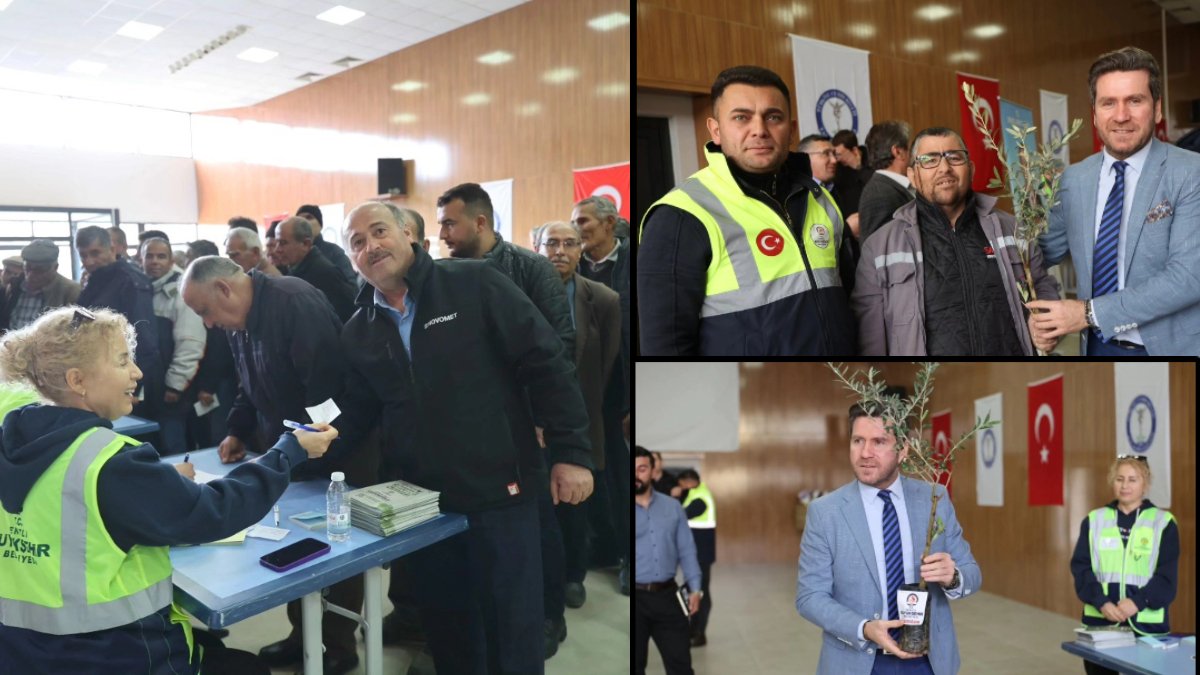 Üreticiyi rahatlatan hareket belediyeden geldi! İlçedeki üreticilere zeytin fidanı ücretsiz dağıtıldı