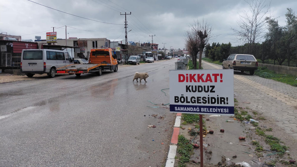 Hatay'da 4 mahalle kuduz nedeniyle karantinaya alındı