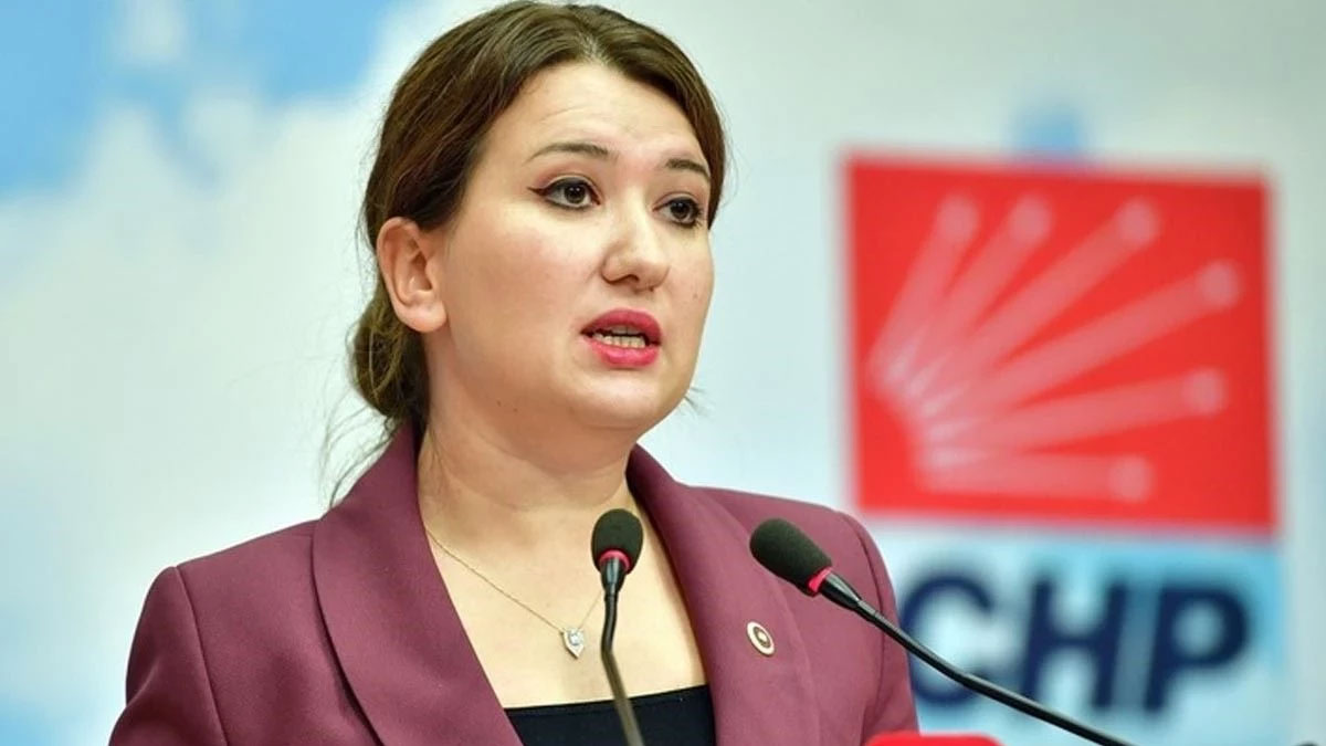 CHP'li Gökçen'den 'kürsü işgali' açıklaması