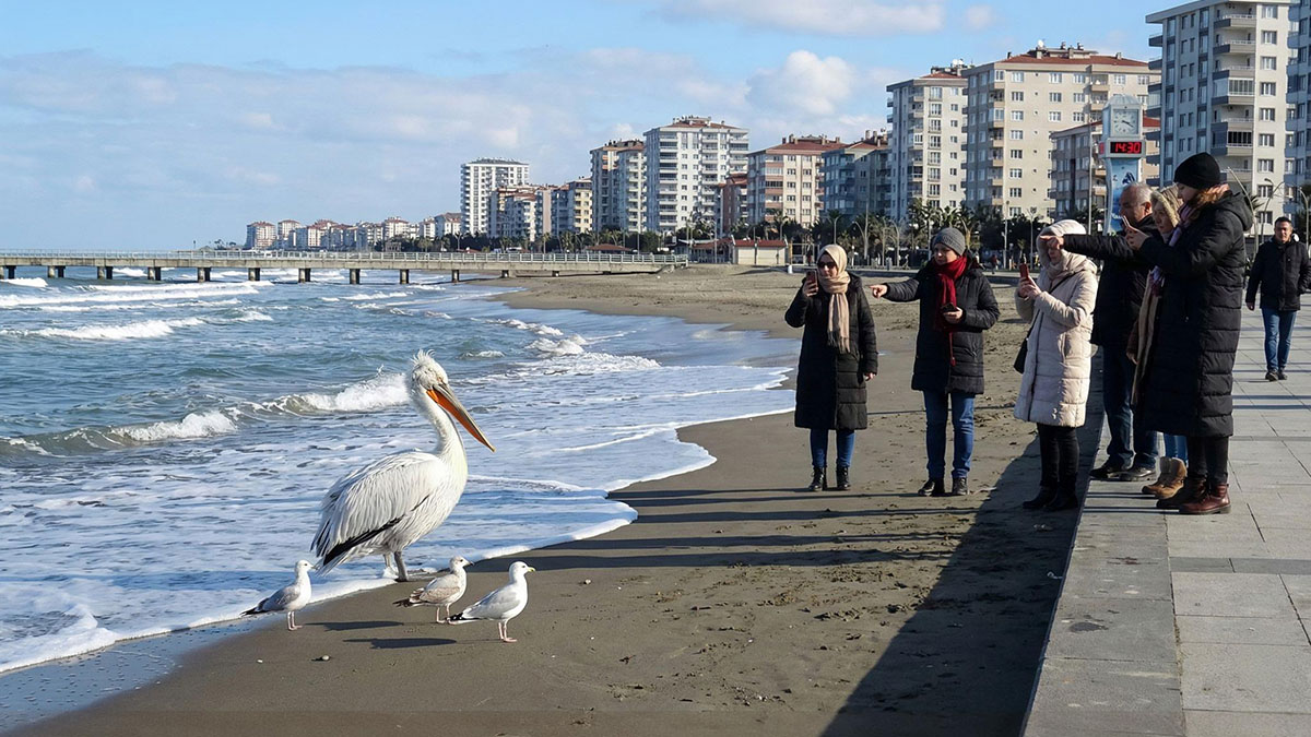 Karadeniz'in dört mevsim yaşayan sahili: Atakum!