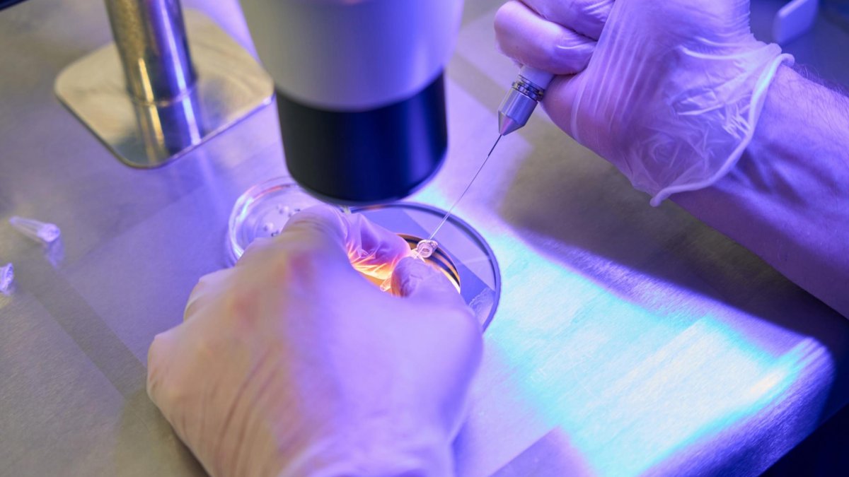 Tüp bebek tedavisinde umut veren buluş: Yeni yöntem gizlenen yumurtaları buluyor