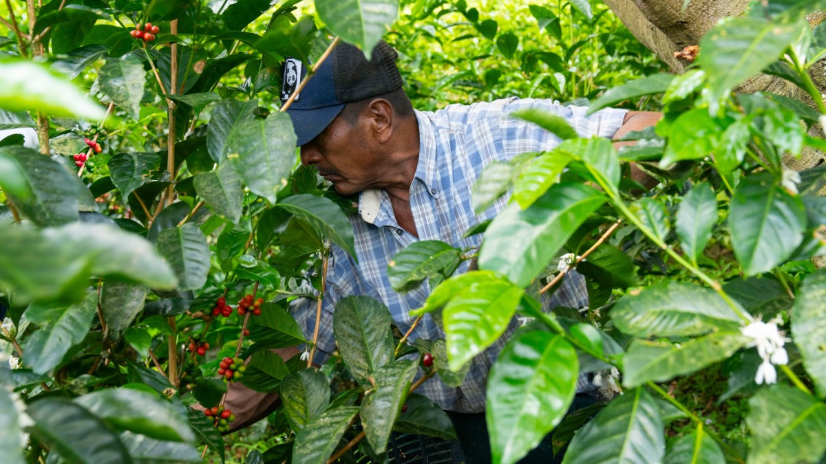 Espressolab’den kahve üretiminde izlenebilirlik uygulaması