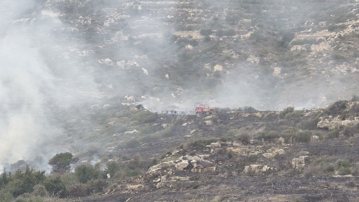 Hatay'da makilik alanda yangın