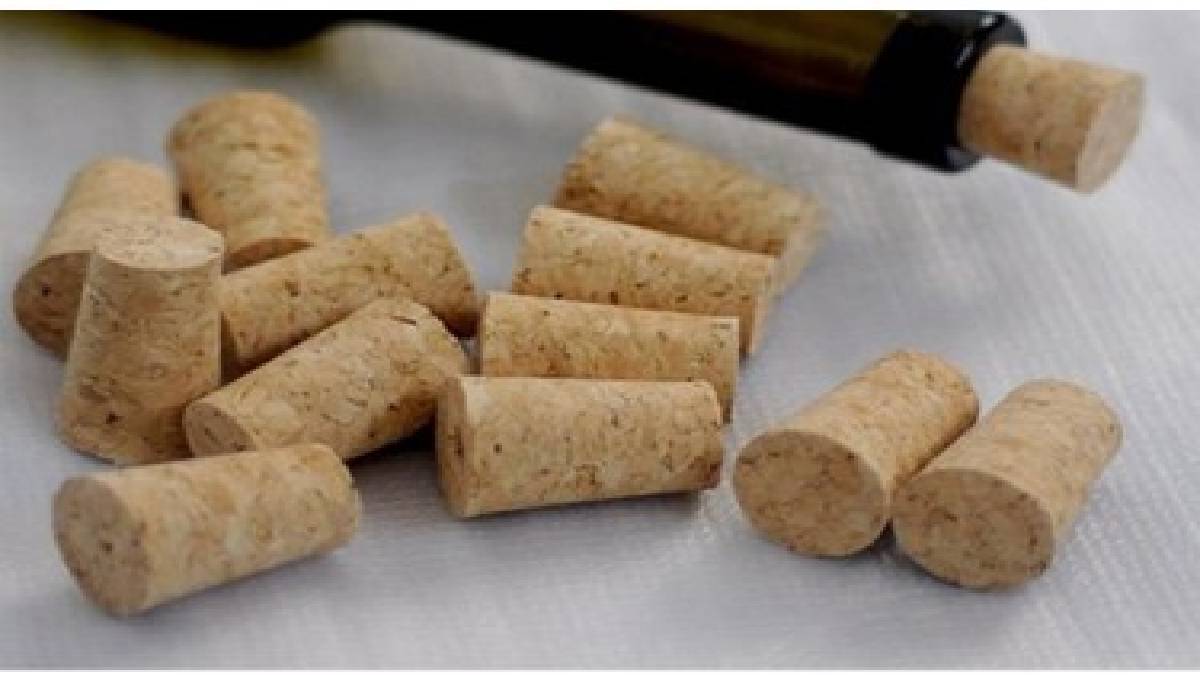 Şişe mantarının faydalarını herkes gözden kaçırıyor! Hiçbir işi olmadığını düşünen yanılır