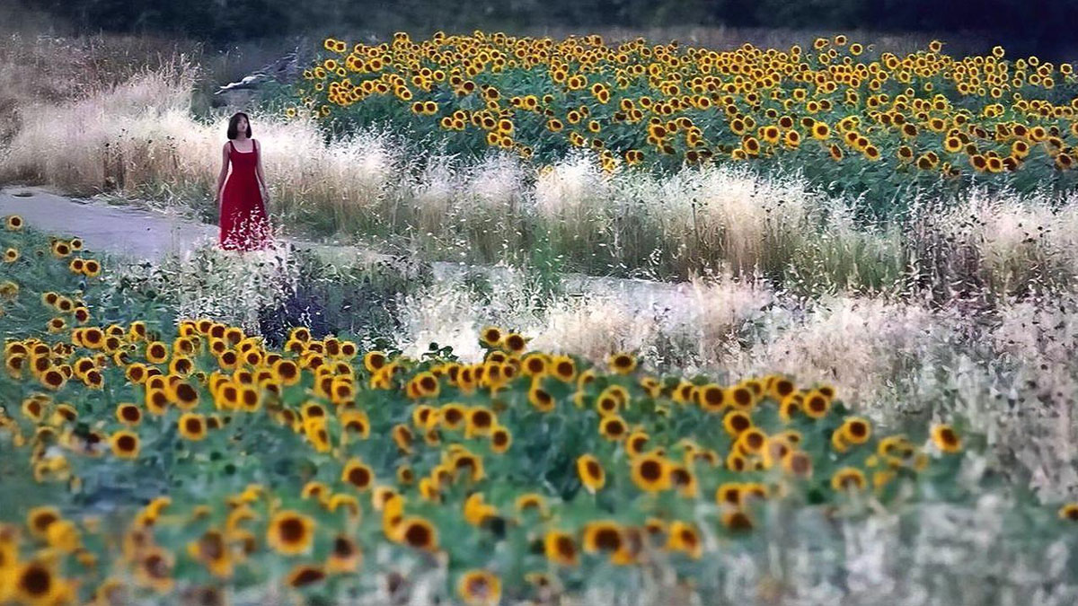 Masumiyet Müzesi dizisinden İmamoğlu çıktı