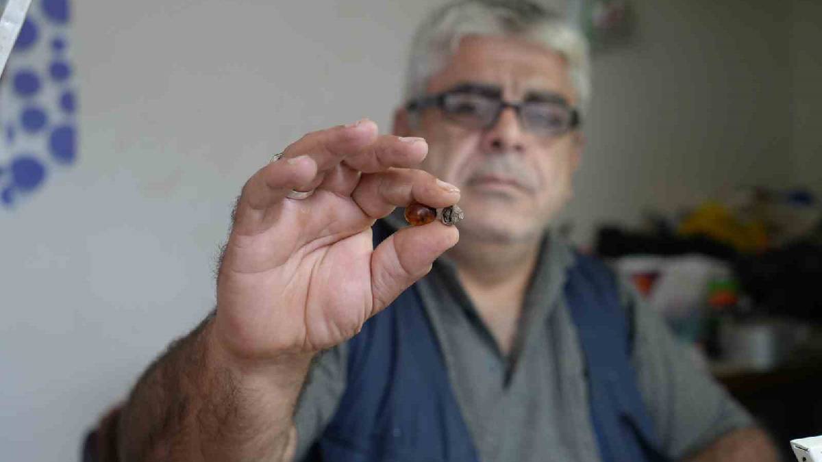 Kehribarın içinden çıktı, tesadüfün böylesi dedi! “Ne olduğunu kendisi de anlayamadı”