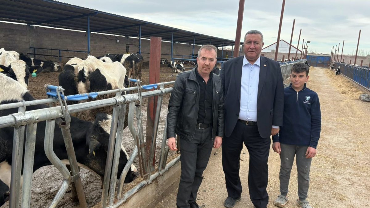 Süt inekçiliğinde alarm zilleri çalıyor: Üretici artan yem maliyetleri ve hastalıklarla boğuşuyor