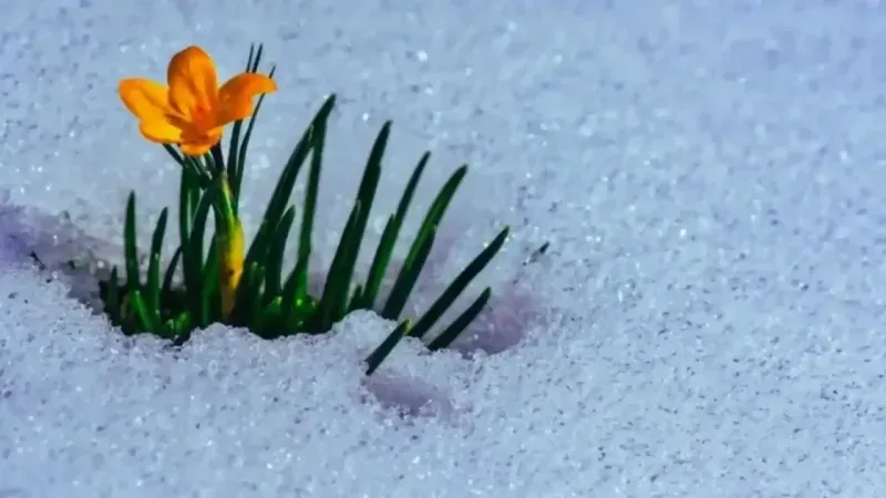 Baharın ayak sesleri: İkinci Cemre suya ne zaman düşüyor? İşte 2026 Cemre Takvimi