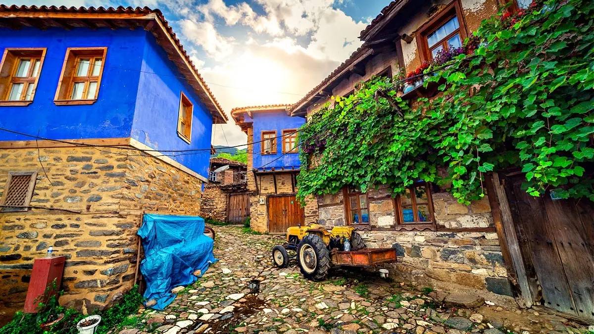 Türkiye’deki bu köy isimleri şaşırtıyor! En ilginç köy isimleri: Sinek, Dertli…