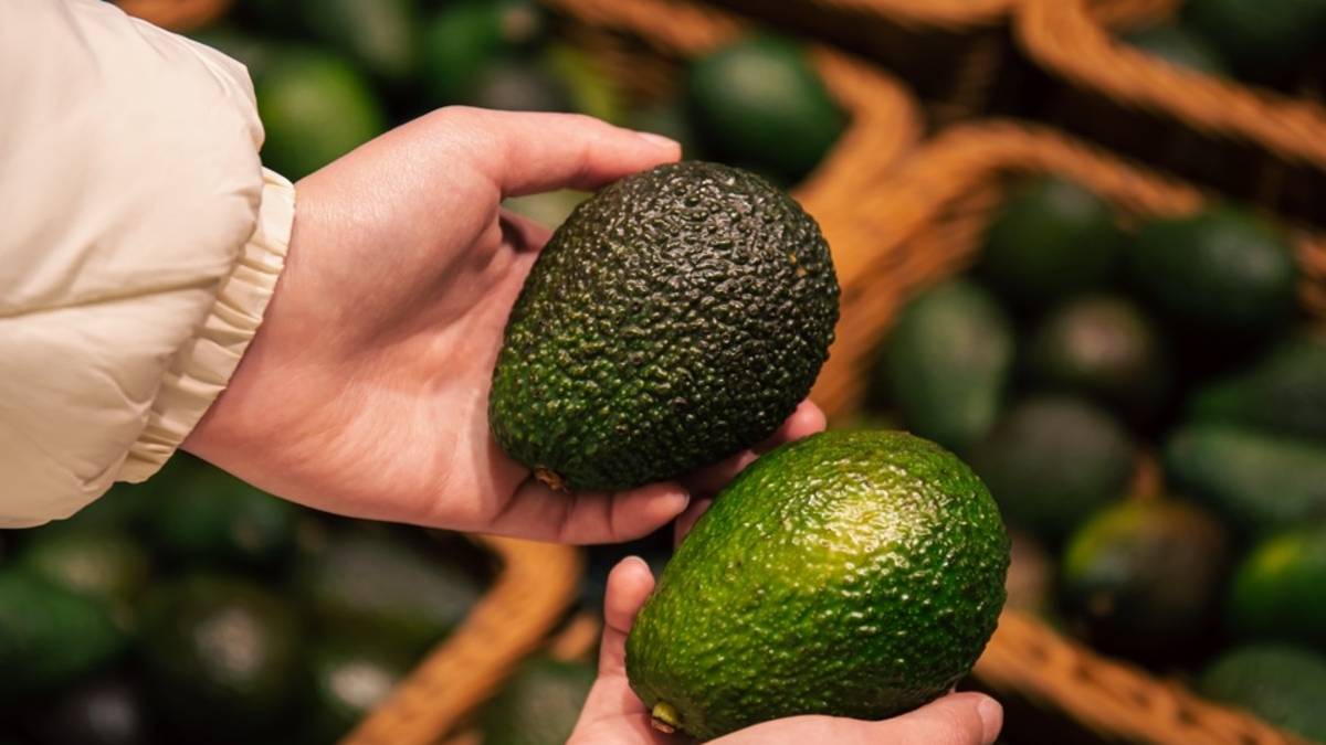 Avokado’nun olgunluk derecesi her şeyi etkiliyor! Olgunluğuna göre faydaları değişiyor