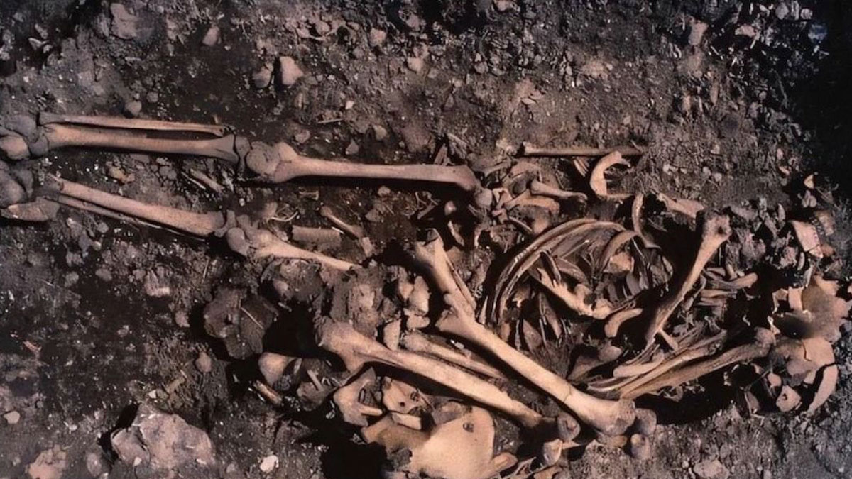 12 yaşındaki kızın mezarı 5500 yıllık gizemi çözdü: Neolitik dönemde kan bağı bekleneden güçlü çıktı