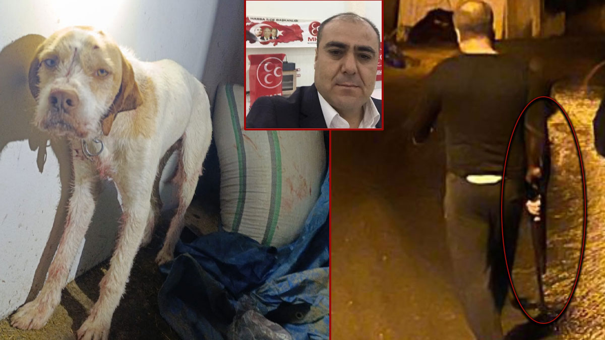 MHP'li İlçe Başkanı komşusunun köpeğine kurşun yağdırdı: "Dinime imanıma hepinize sıkarım"