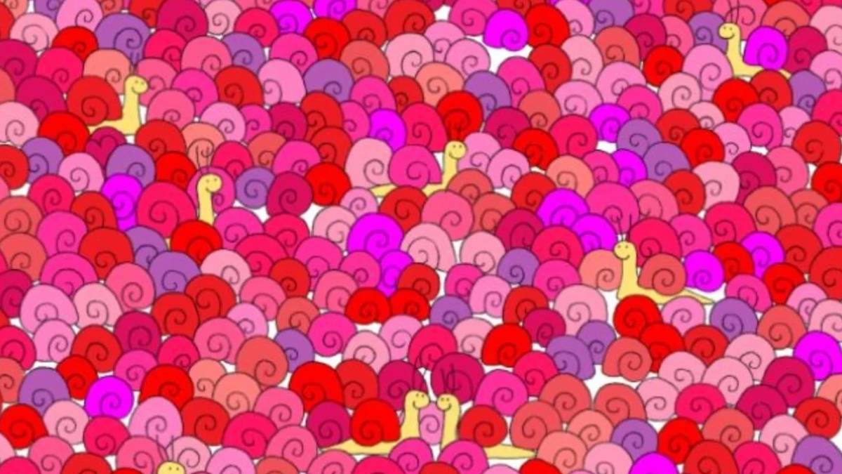 Salyangozların arasına gizlenmiş kalbi kimler görebiliyor? Sadece yüksek IQ’lu kişiler 5 saniyede seçebiliyor!