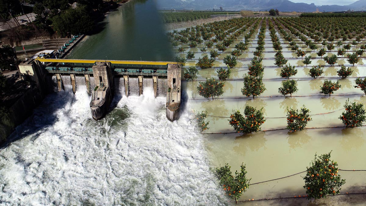 Baraj kapakları açıldı, Seyhan Nehri'nin debisi yükseldi: Tarım arazileri sular altında