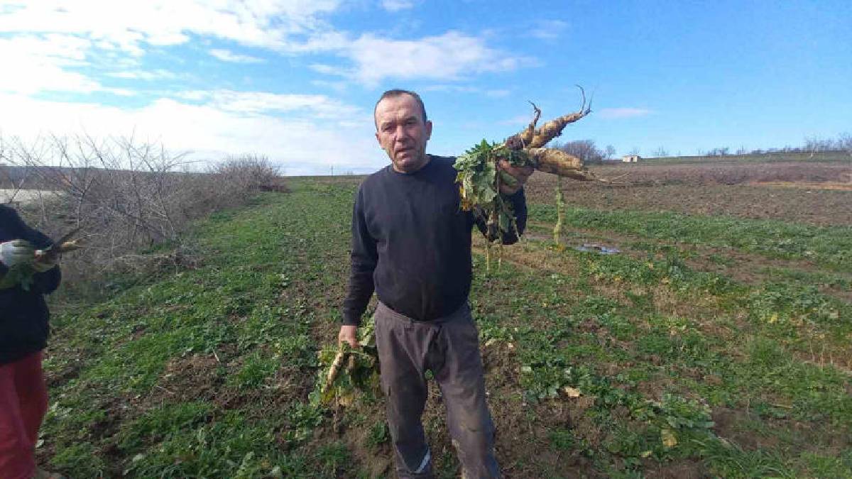 Dört mevsim çalışıyorlar, sabah hava aydınlanır aydınlanmaz başlıyorlar! Çocukların geleceği burada yatıyor