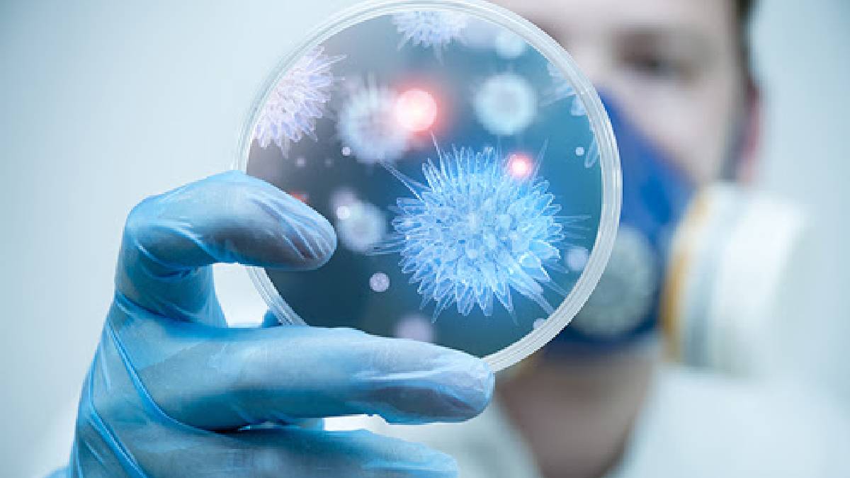 Sessiz bulaş riski: İnfluenza D insanlarda fark edilmeden mi ilerliyor?