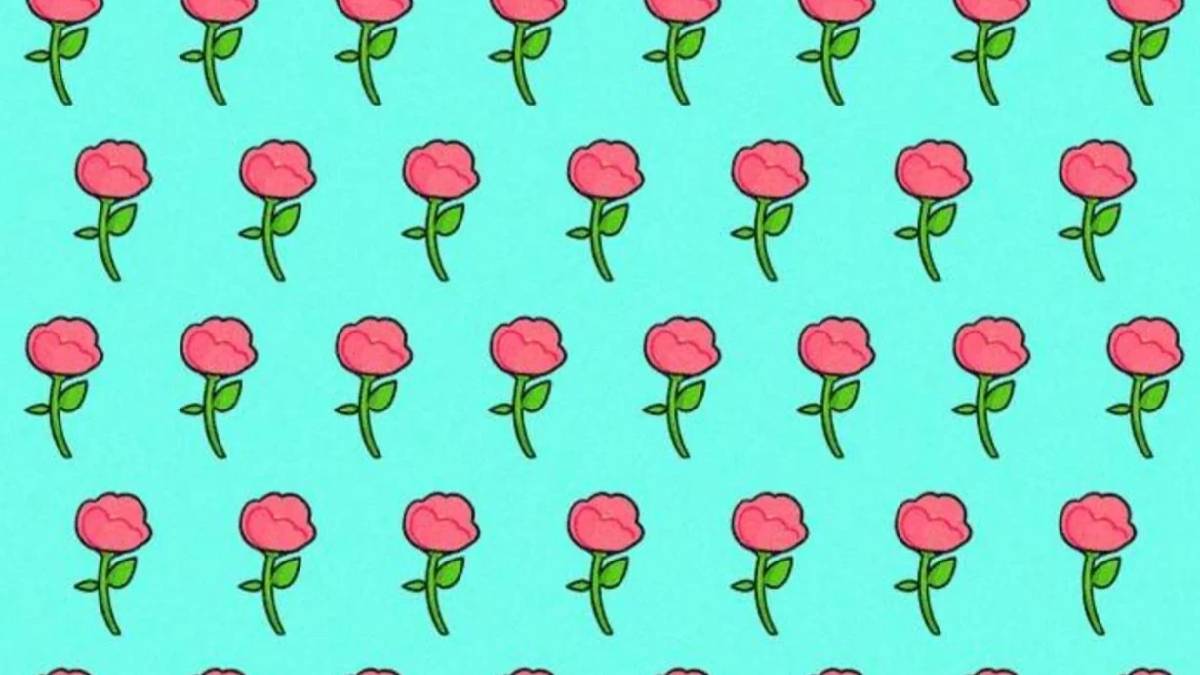 Sadece dahiler 6 saniyede görüyor! Güllerin arasındaki farklı nesneyi bulabilecek misiniz?