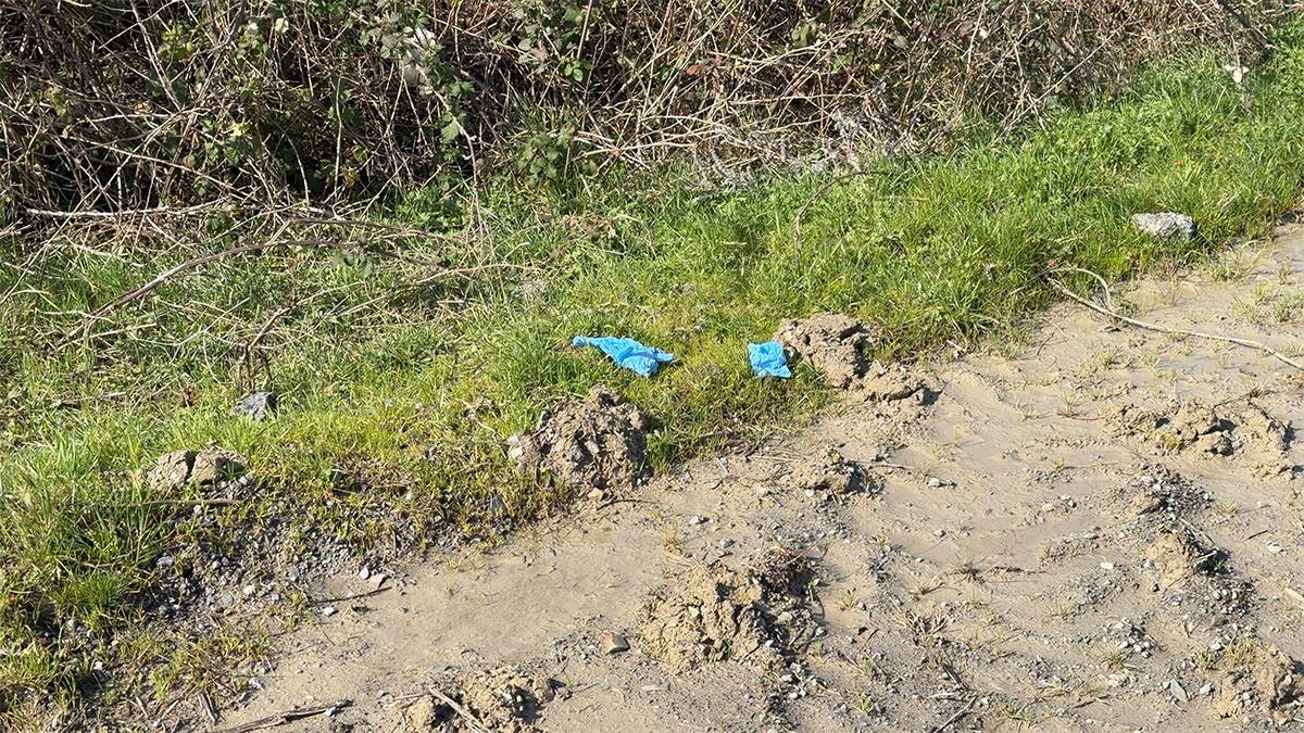 Çinli iş insanının cansız bedeni Arnavutköy'de bulundu: 10 kişi Çin'de yakalandı