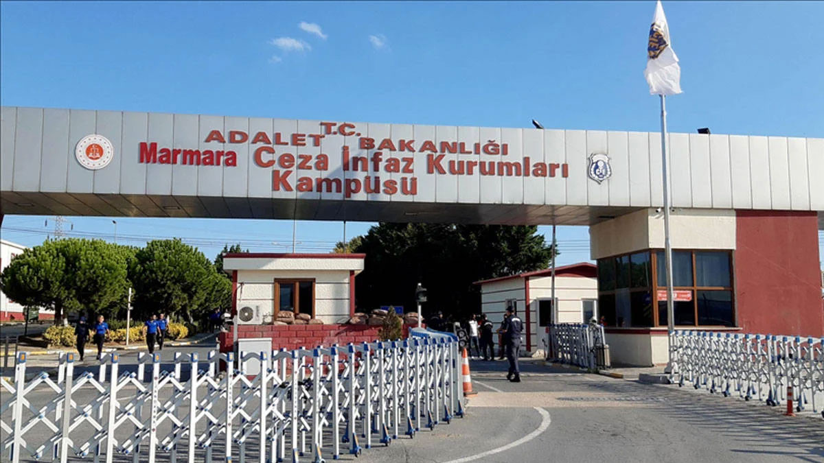 Kaybolan ayakkabı, kuşlar ve bekleyiş