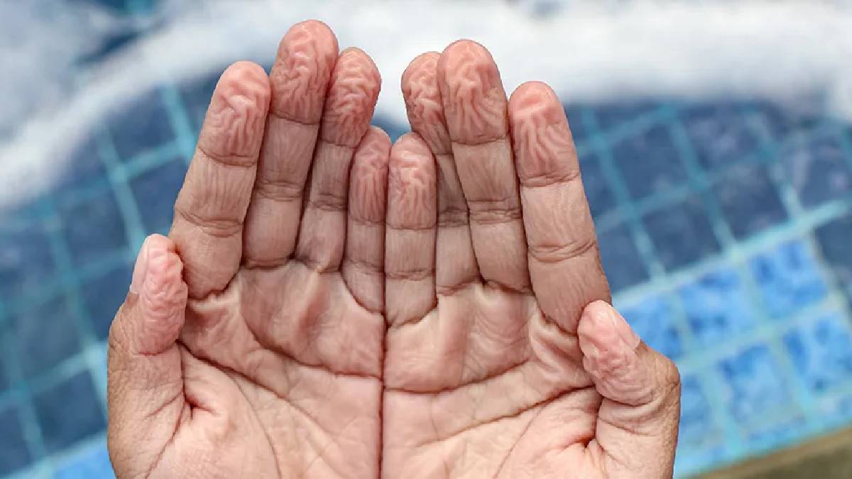 Bir efsane daha çürüdü! Parmaklar sudan değil, "güvenlik" için buruşuyormuş