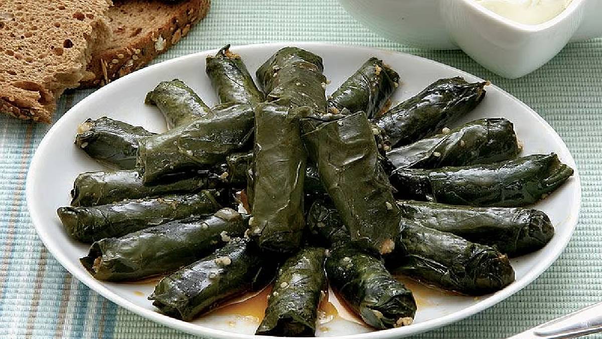 Ege’nin şifalı yaprakları sofrada: Zeytinyağlı pazı dolması tarifi ve püf noktaları…