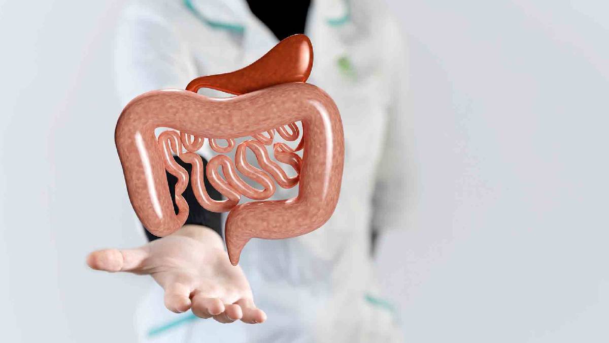 Bağırsak sağlığınıza dikkat edin! Mevsim geçişleri sizi etkilemesin: Bağırsak sağlığında dikkat edilmesi gerekenler
