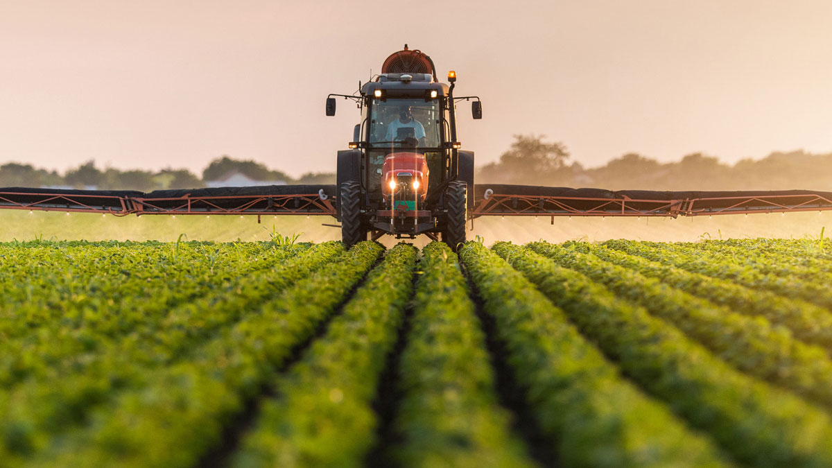 Türkiye’de tarımın gerilemesi ve gıda enflasyonunun nedenleri