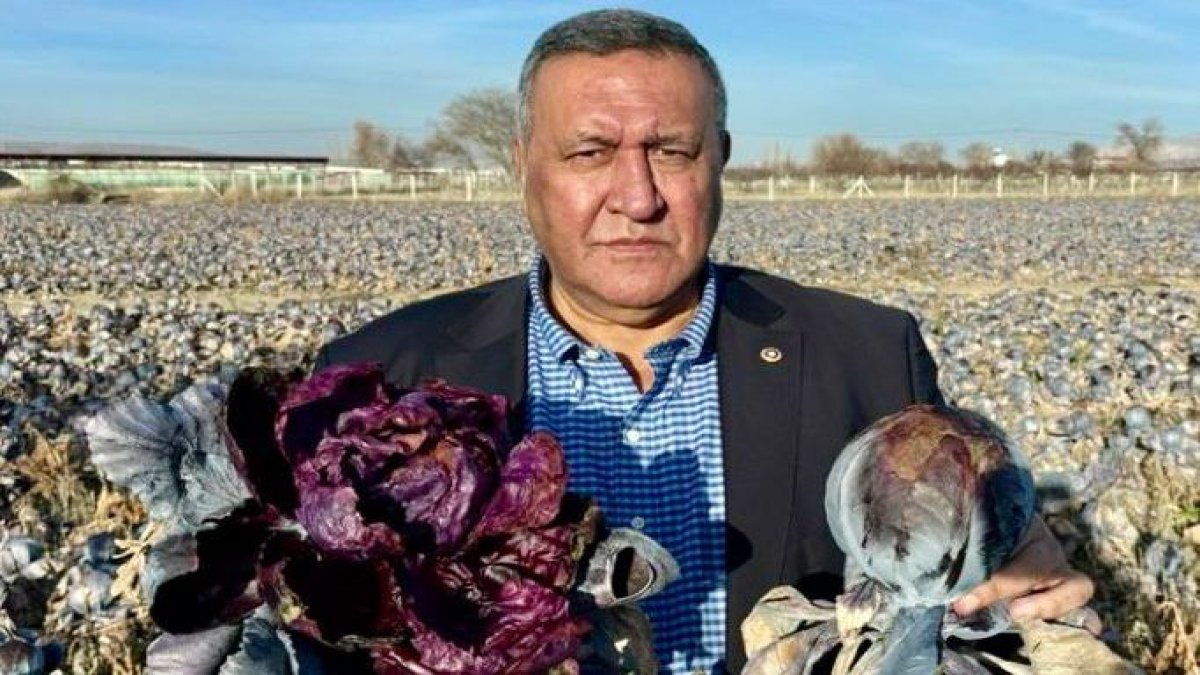 Tarlada çöküş, rafta yangın: "2025 tarımda 'kayıp yıl' oldu, faturayı vatandaş ödüyor"