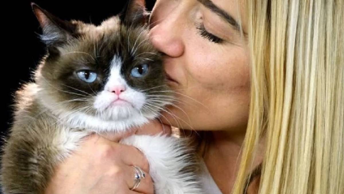 Yeni araştırma: Kediler sahiplerine bağlı değil