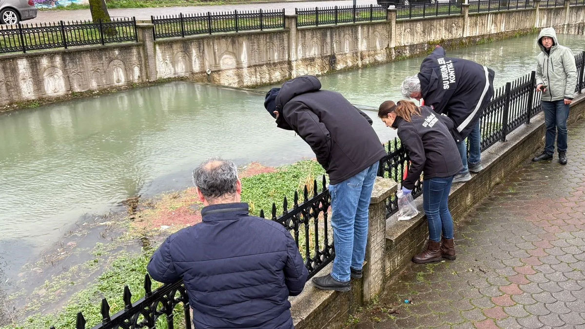 Uludere Çayı'nda binlerce ölü balık bulundu