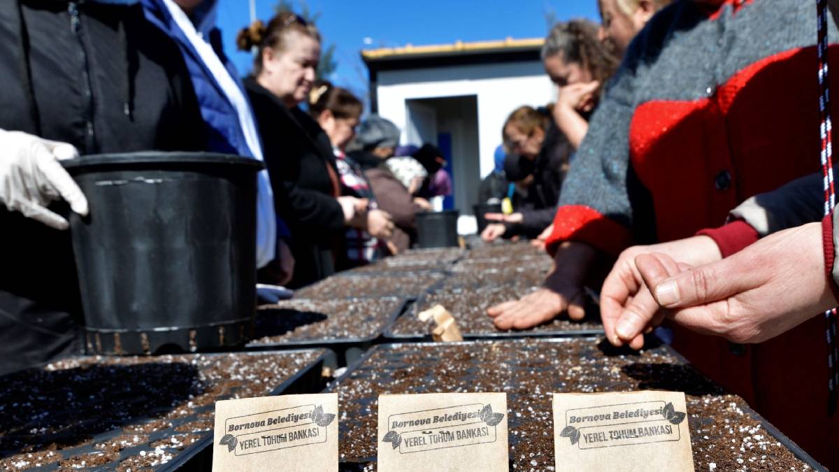 Kent Bostanlarında yaz mesaisi başladı