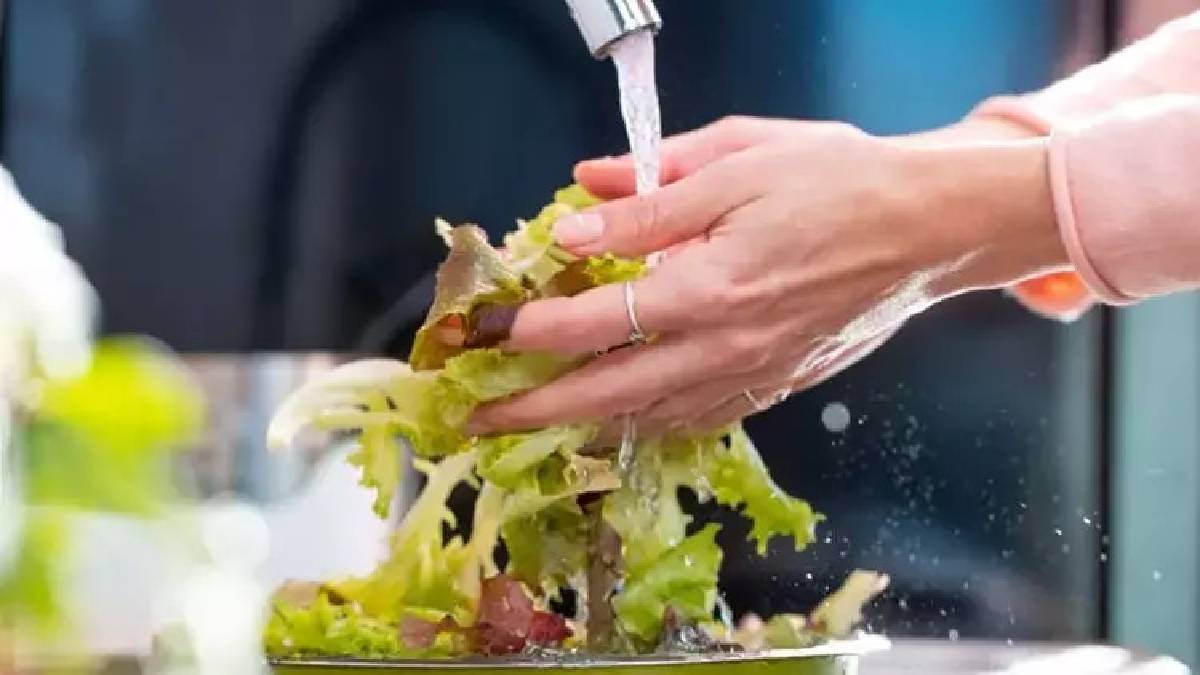 Marullarınız buzdolabında solup gitmesin! Marul nasıl uzun süre saklanır? Ufak tüyoyla daha uzun taze kalacak