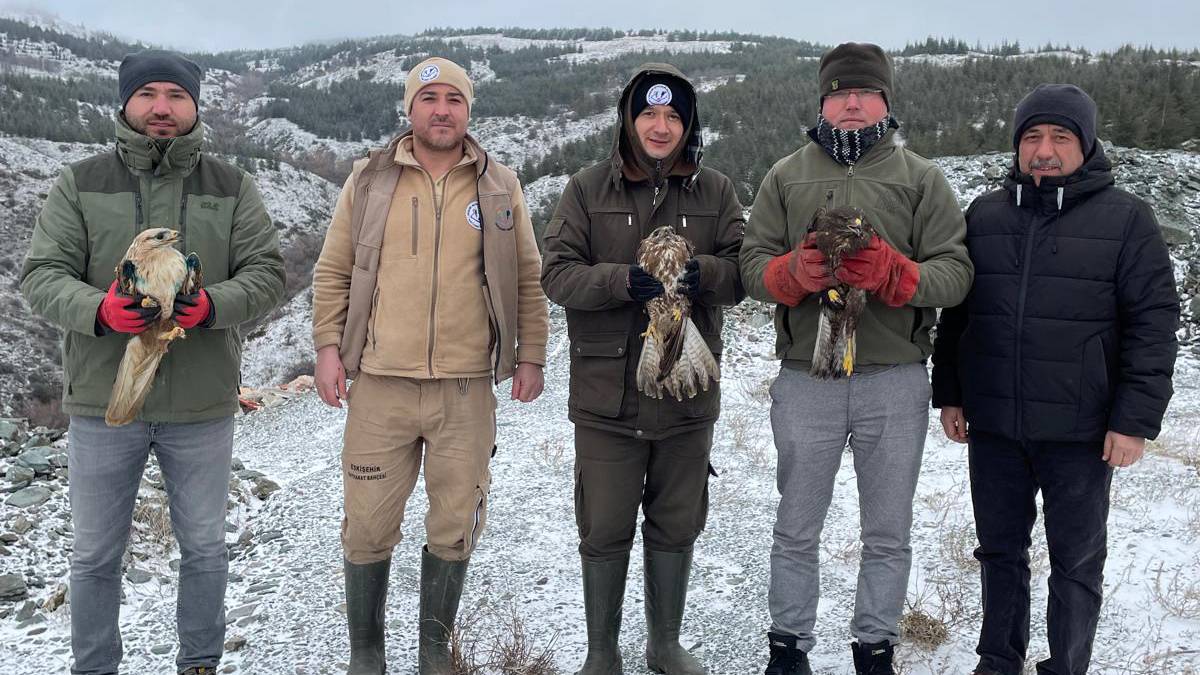 Hayvanat bahçesinden yaban hayatına umut