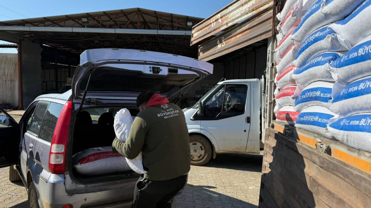 Karacasu’da küçük üreticilere destek: Aydın Büyükşehirden büyükbaş hayvancılık ile uğraşanlara yem hibesi...