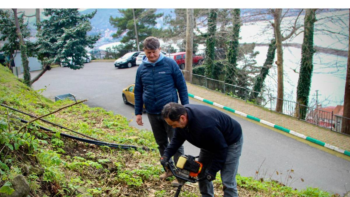 Kale’nin yeşilliği artırılıyor: Çam, ıhlamur ve pavlonya dikiliyor