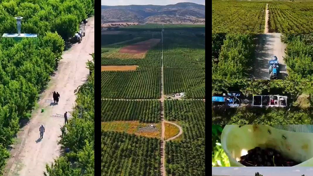 Yozgat'taki bu köy tersine göç mucizesi: Her ailenin aylık geliri 250 bin lirayı aştı