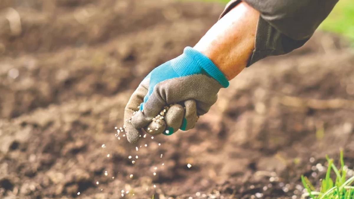 Orta Doğu’daki savaş gübre piyasasını sarstı: Fiyatlar hızla yükseliyor