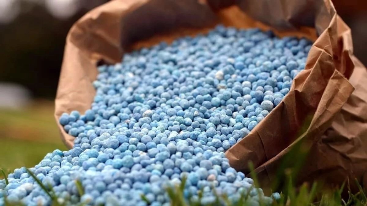 Küresel üre ithalatında gümrük vergisi sıfırlandı