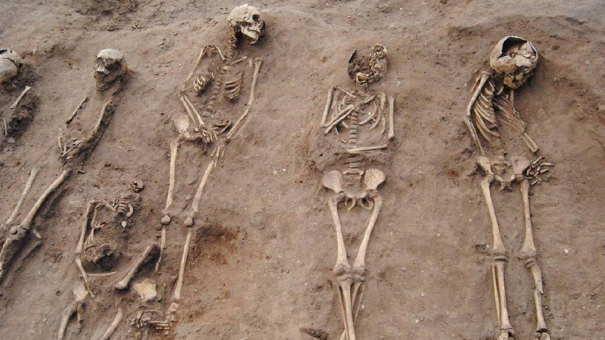 Kara Veba'nın doğaya bıraktığı iz: Bitki çeşitliliği azalmış