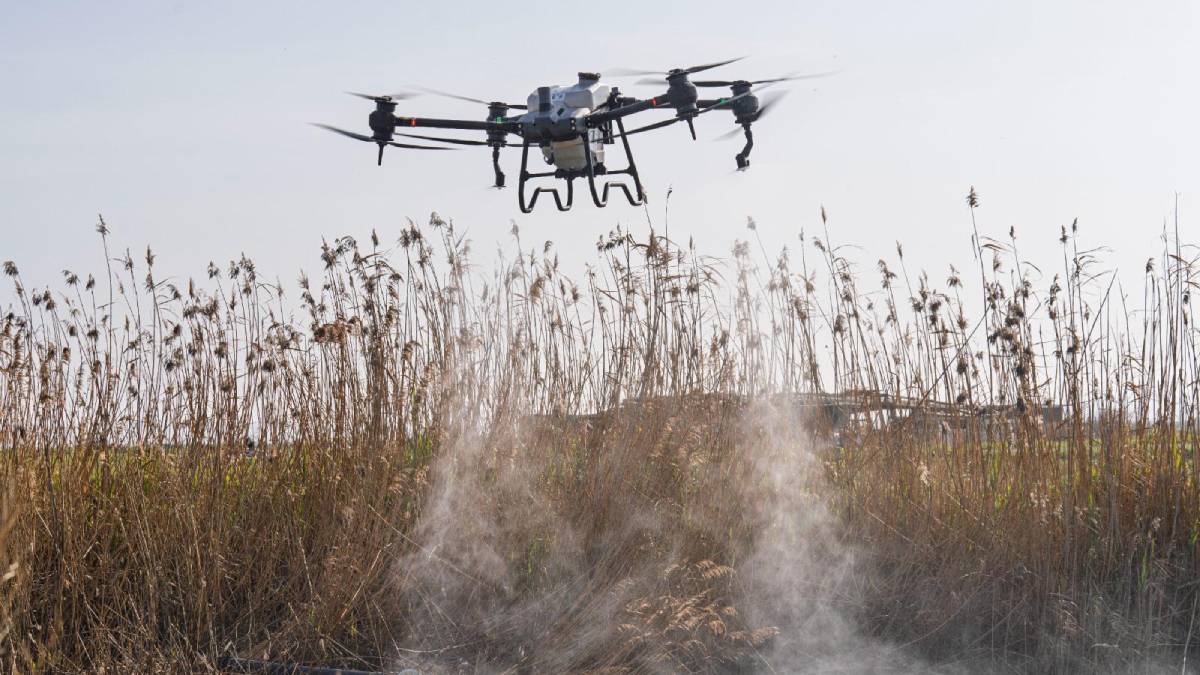 Sivrisinek ve zararlılara karşı İzmir modeli