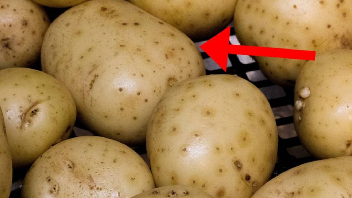 Patatesleriniz uzun süre tazecik kalacak! Çil görmek istemeyen bir tane eklesin
