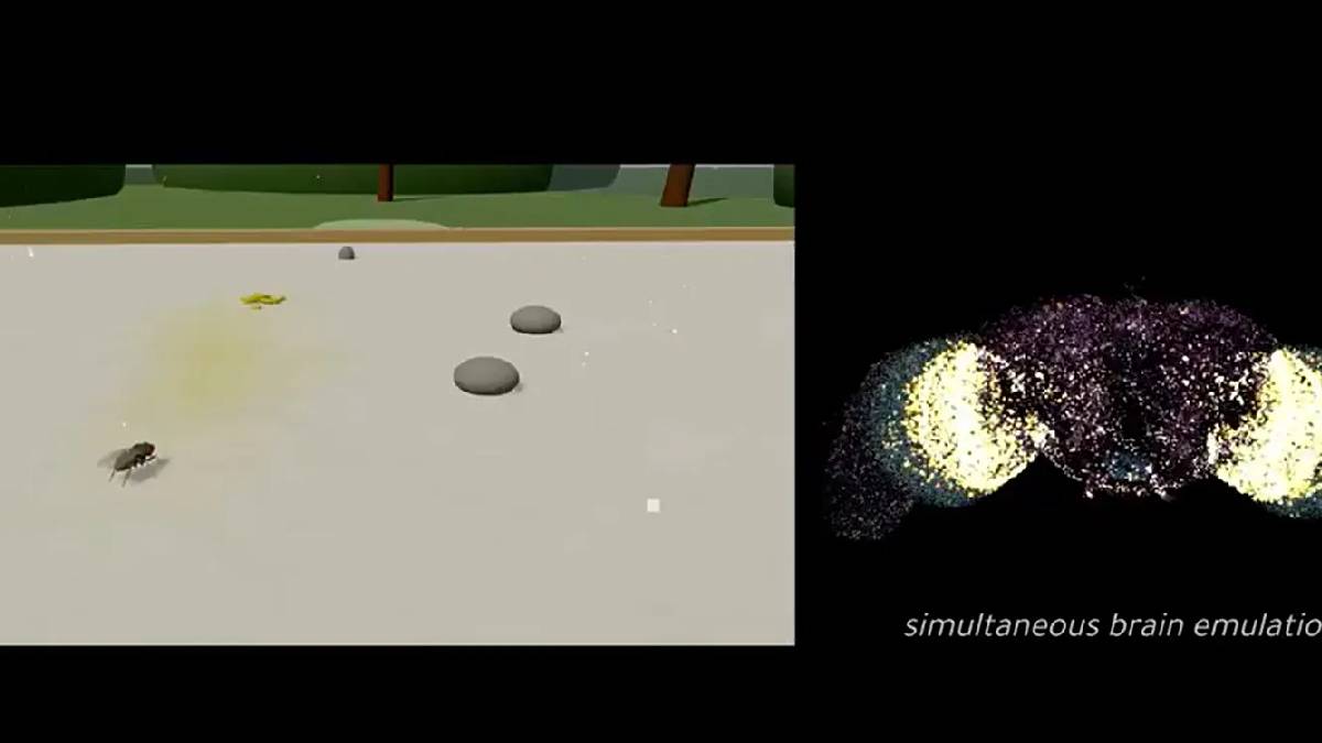 Biyoteknoloji şirketi açıkladı: Gerçek beyin dijitale taşındı