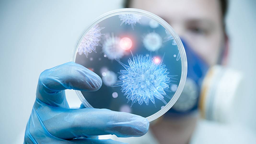 Özel bir mutasyona gerek yok: Herhangi bir virüs her an pandemiye dönüşebilir