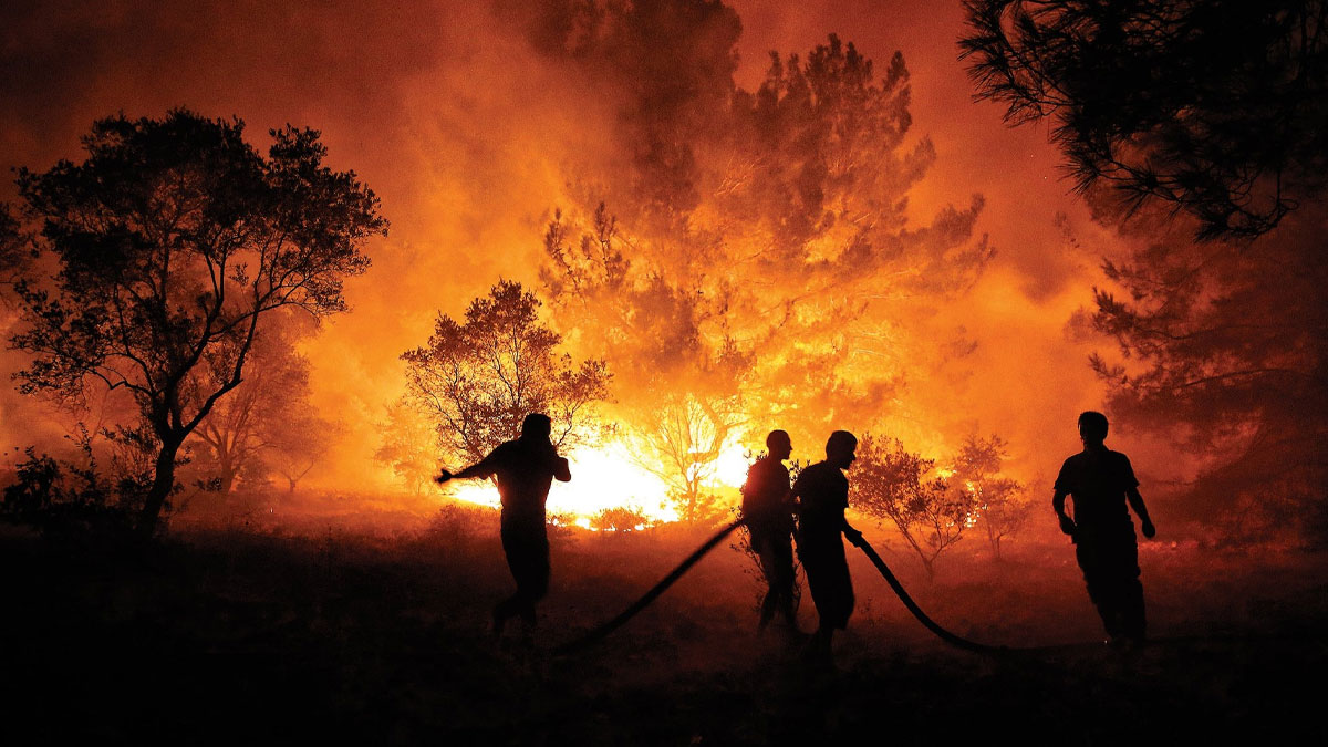 OGM açıkladı: 2025’te 81 bin hektar orman kül oldu