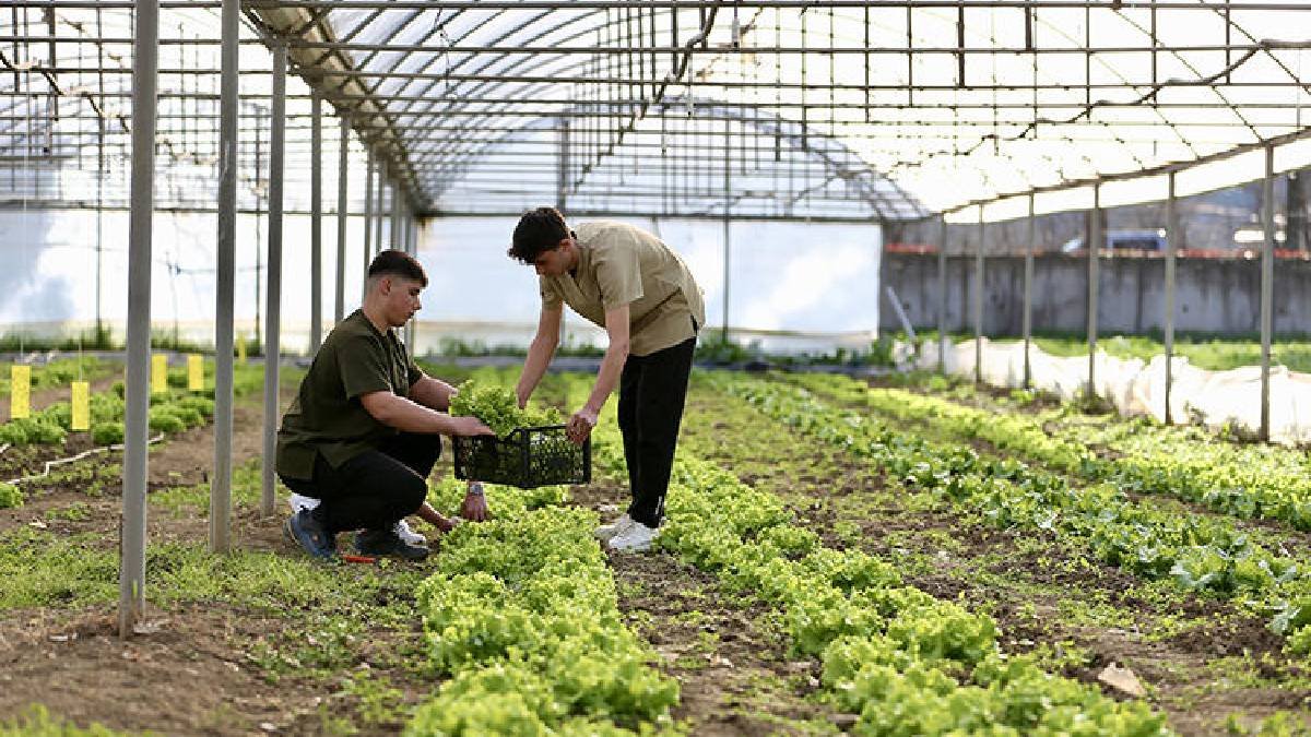 135 yıllık lisede ‘Tarladan tabağa’ konsepti: 1500 misafir hedefleniyor