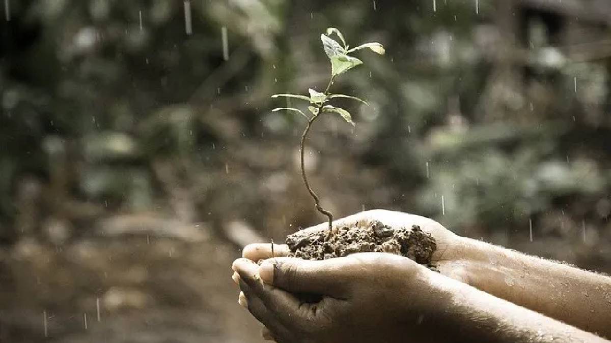 Yağmur sonrası gelen o büyüleyici kokunun gizemi çözüldü: Aslında bakteri kokluyorsunuz