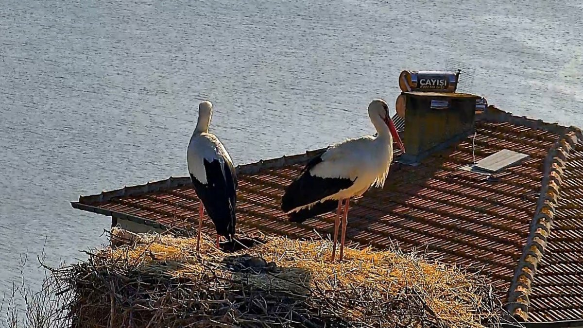 Yaren ve Nazlı aylar sonra aynı yuvada
