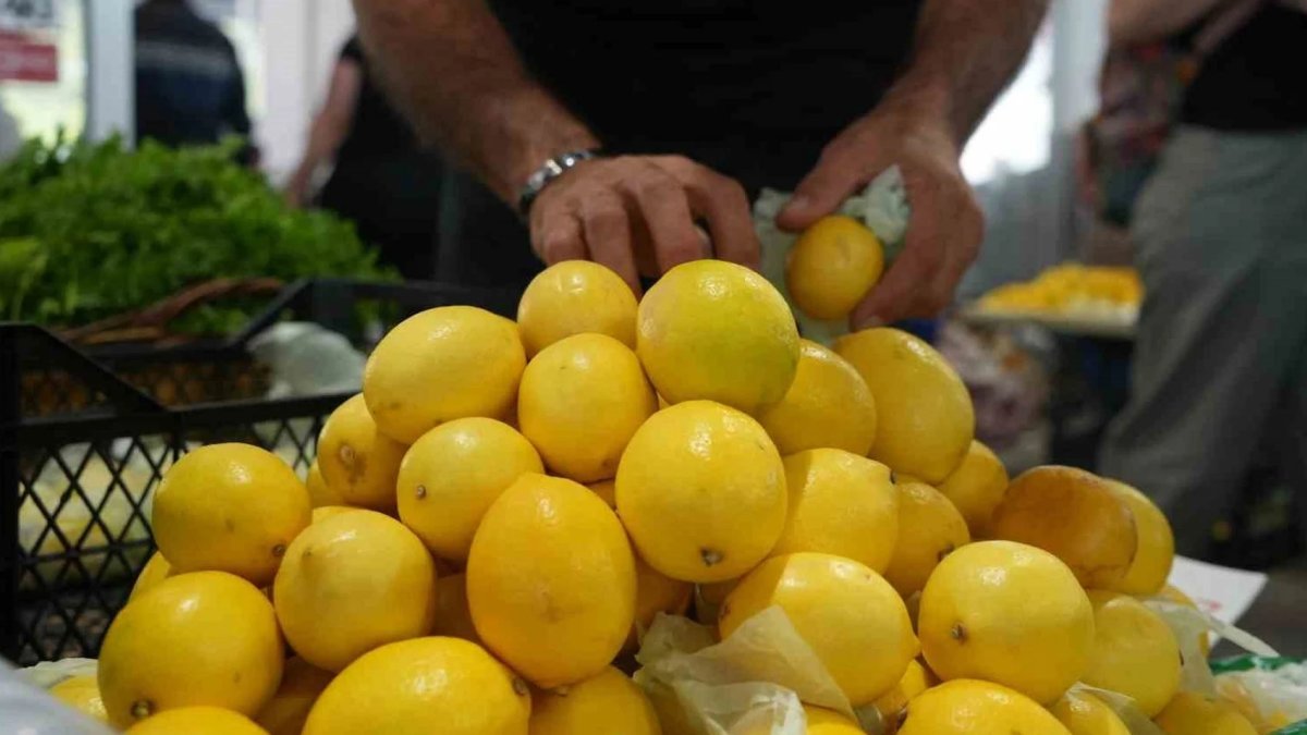 Limonda gümrük vergisi düşürüldü